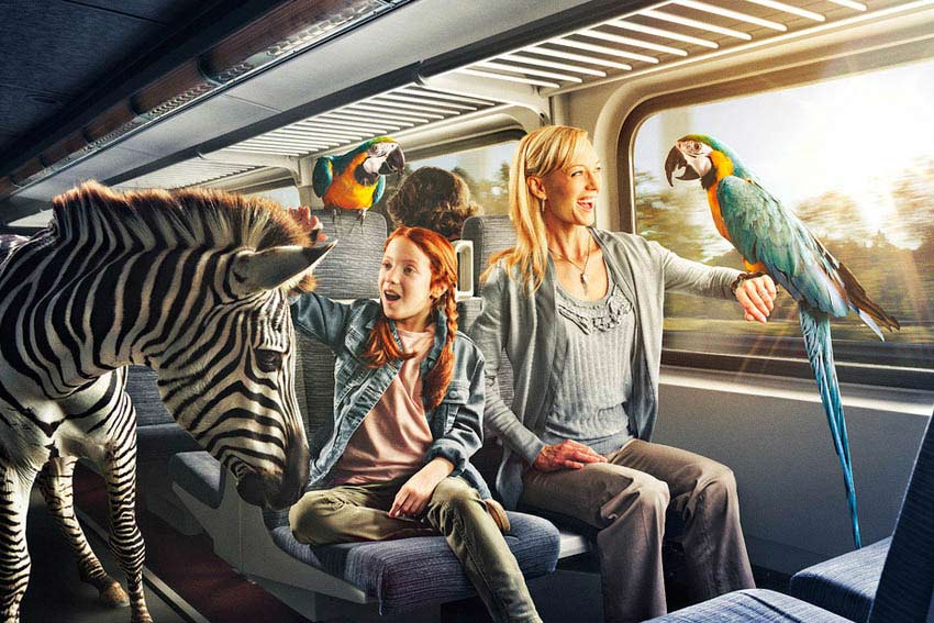 轻量级高效的DDOS接单平台